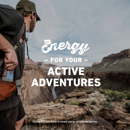 Clif Bar Chocolate Chip Energy Bar